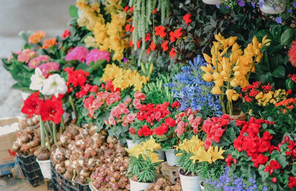 Benefits of Buying Wholesale Flowers in Kitchener
